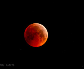 Am 21.1.2019 konnte man den Blutmond über Ringleben in den zeitigen Morgenstunden beobachten.